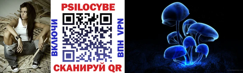 Галлюциногенные грибы прущие грибы  Суздаль 